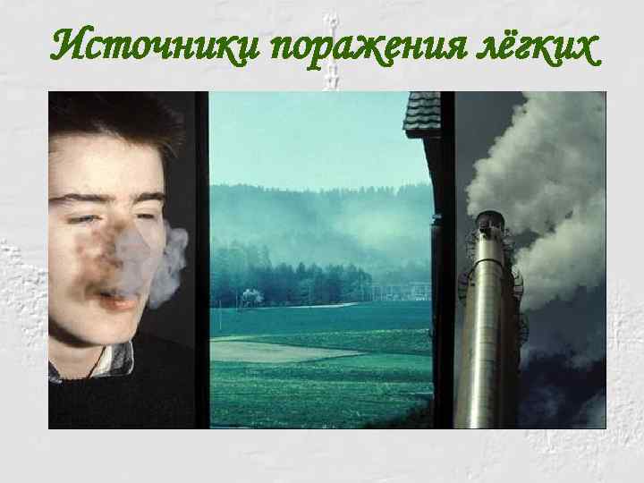 Источники поражения лёгких 