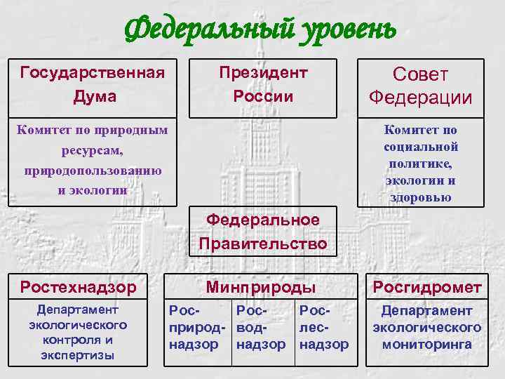 Федеральный уровень Государственная Дума Президент России Комитет по природным ресурсам, природопользованию и экологии Совет