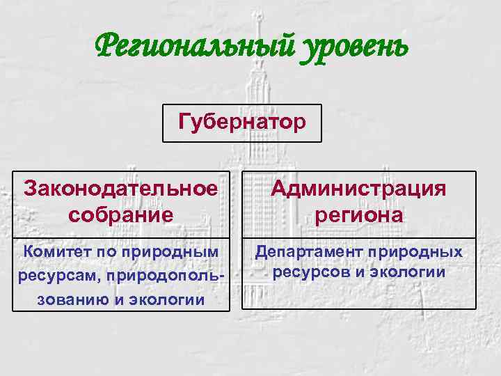 Региональный уровень Губернатор Законодательное собрание Администрация региона Комитет по природным ресурсам, природопользованию и экологии