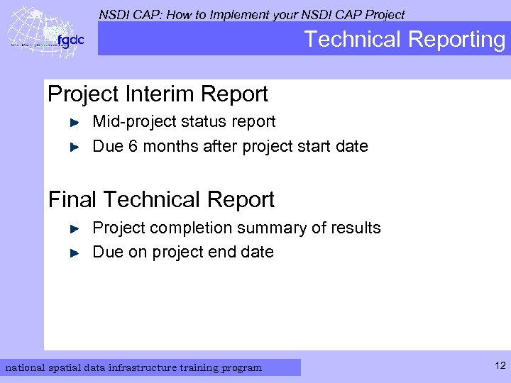 NSDI CAP: How to Implement your NSDI CAP Project Technical Reporting Project Interim Report