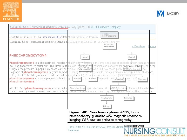 Figure 3 -181 Pheochromocytoma. IMIBG, Iodine metaiodobenzyl guanidine; MRI, magnetic resonance imaging; PET, positron