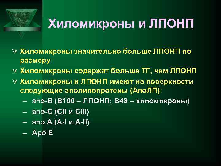 Хиломикроны и ЛПОНП Ú Хиломикроны значительно больше ЛПОНП по размеру Ú Хиломикроны содержат больше