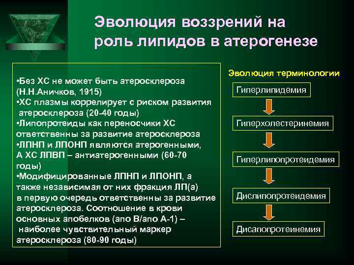 Эволюция воззрений на роль липидов в атерогенезе • Без ХС не может быть атеросклероза