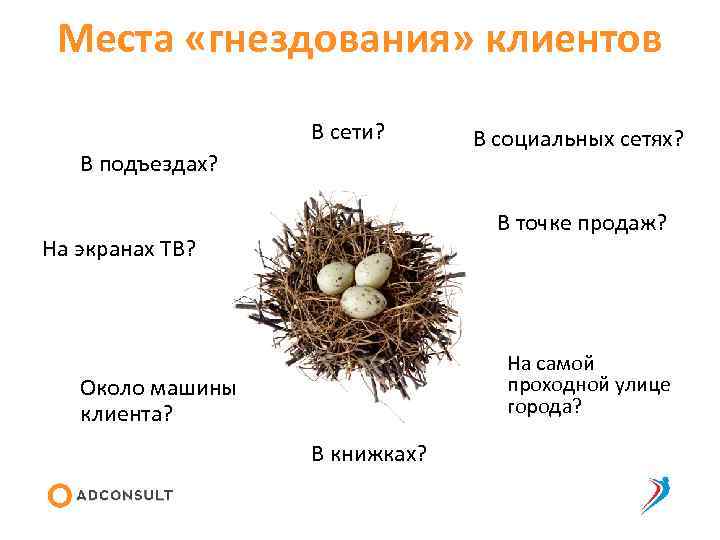 Места «гнездования» клиентов В сети? В подъездах? В социальных сетях? В точке продаж? На