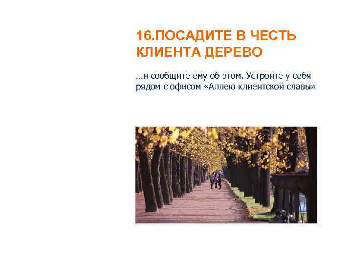 16. ПОСАДИТЕ В ЧЕСТЬ КЛИЕНТА ДЕРЕВО …и сообщите ему об этом. Устройте у себя