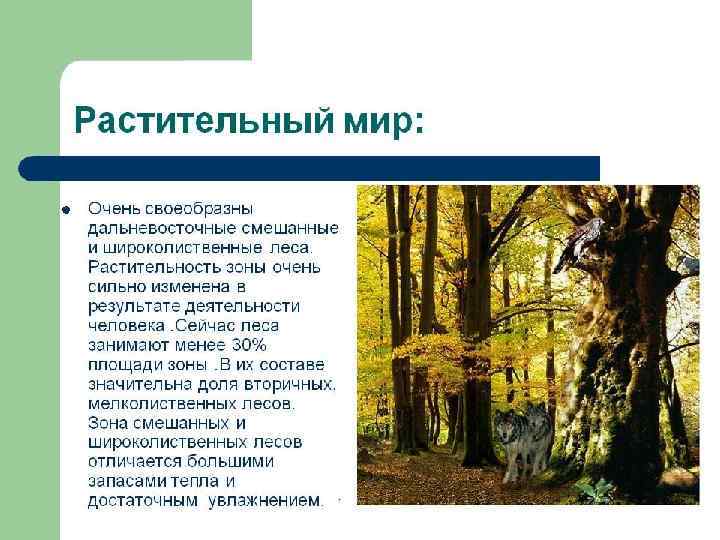l Для Восточно – Европейской равнины характерны нагромождения моренных холмов и грядов, покрытые лесом.