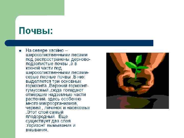 l На низменных песчанных равнинах много болот водно – ледникового происхождения, например в Мещёре.