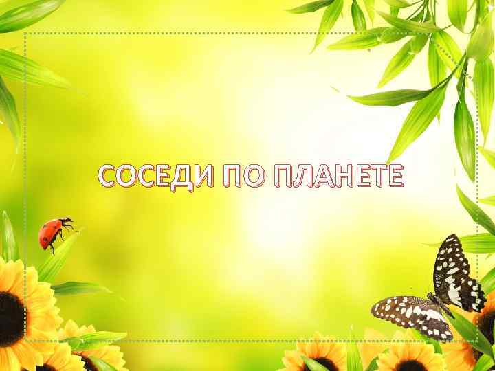 СОСЕДИ ПО ПЛАНЕТЕ 