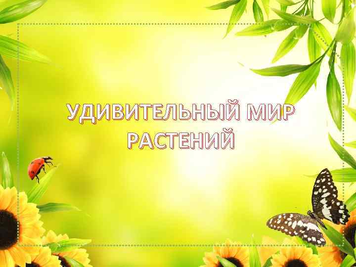 УДИВИТЕЛЬНЫЙ МИР РАСТЕНИЙ 