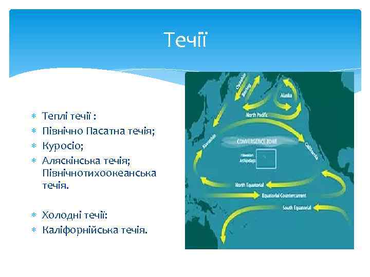 Течії Теплі течії : Північно Пасатна течія; Куросіо; Аляскінська течія; Північнотихоокеанська течія. Холодні течії: