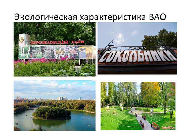 Экологическая характеристика ВАО 