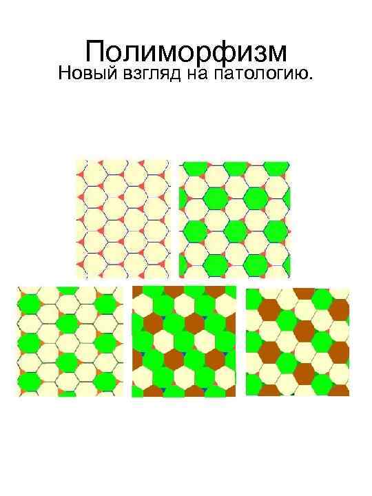 Полиморфизм Новый взгляд на патологию. 