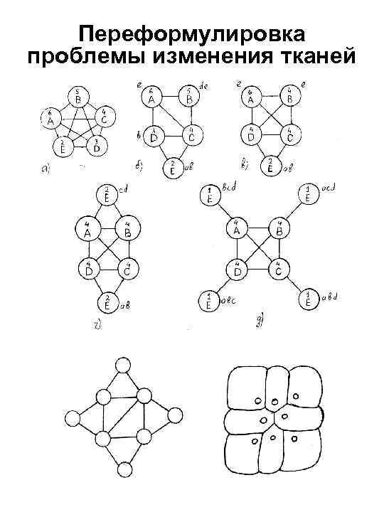Переформулировка проблемы изменения тканей 