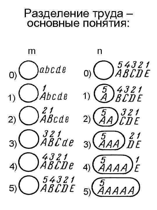 Разделение труда – основные понятия: m n 