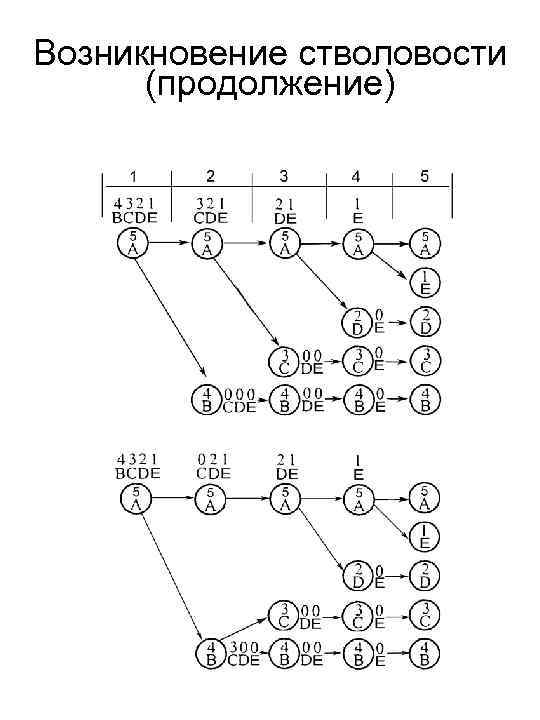 Возникновение стволовости (продолжение) 
