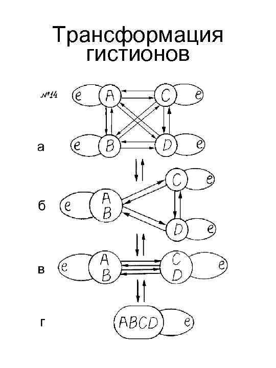 Трансформация гистионов 