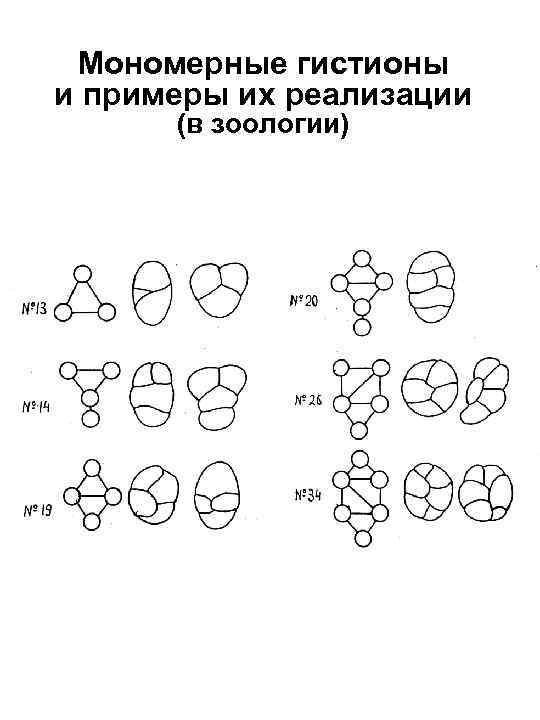 Мономерные гистионы и примеры их реализации (в зоологии) 