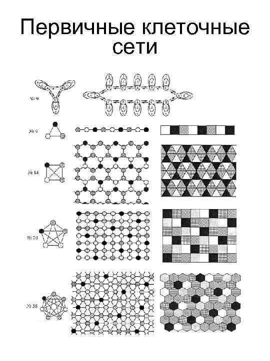 Первичные клеточные сети 