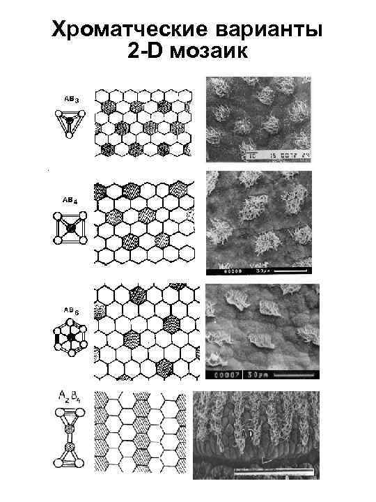 Хроматческие варианты 2 -D мозаик 