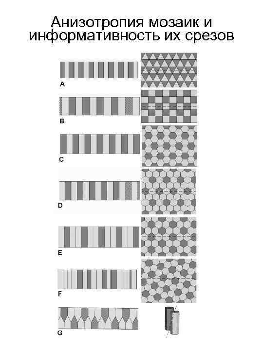 Анизотропия мозаик и информативность их срезов 