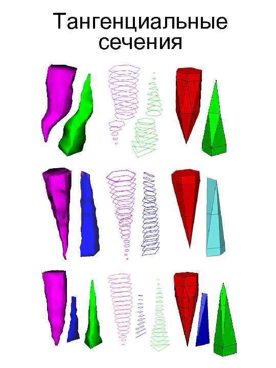 Тангенциальные сечения 