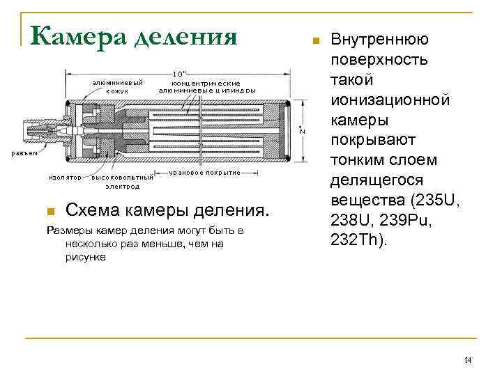 Камера деления n Схема камеры деления. Размеры камер деления могут быть в несколько раз