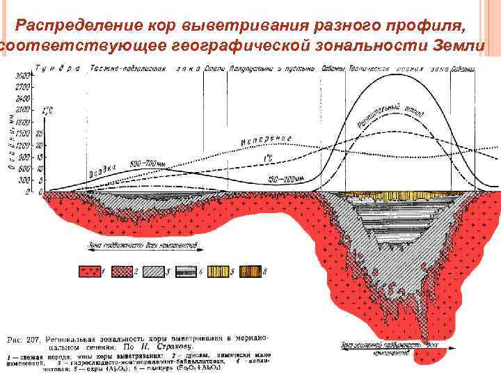 Распределение кор выветривания разного профиля, соответствующее географической зональности Земли 25 