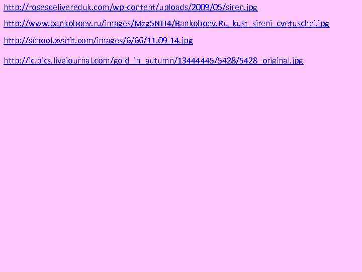 http: //rosesdelivereduk. com/wp-content/uploads/2009/05/siren. jpg http: //www. bankoboev. ru/images/Mzg 5 NTI 4/Bankoboev. Ru_kust_sireni_cvetuschei. jpg http: