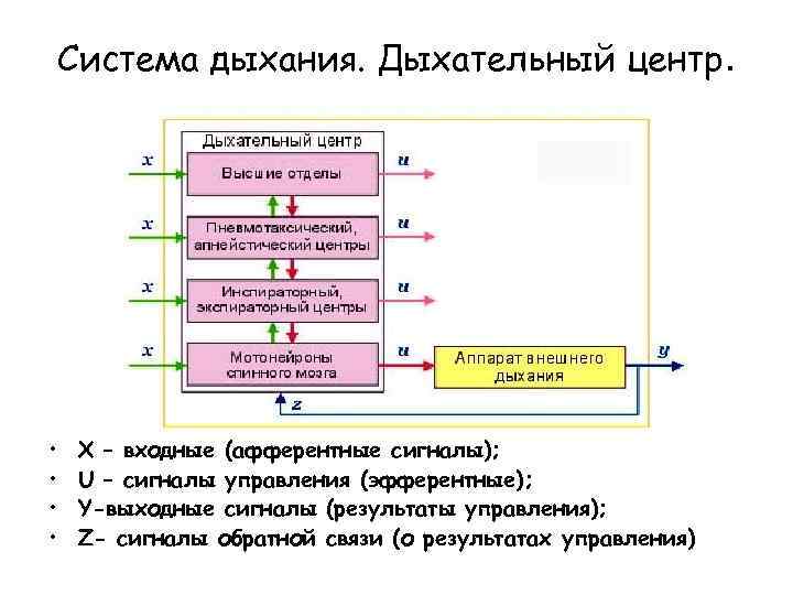 Управление сигнал обратная связь 9 класс информатика