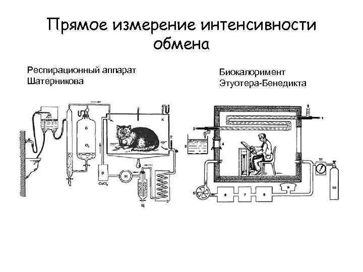 Прямое измерение интенсивности обмена Респирационный аппарат Шатерникова Биокалоримент Этуотера-Бенедикта 