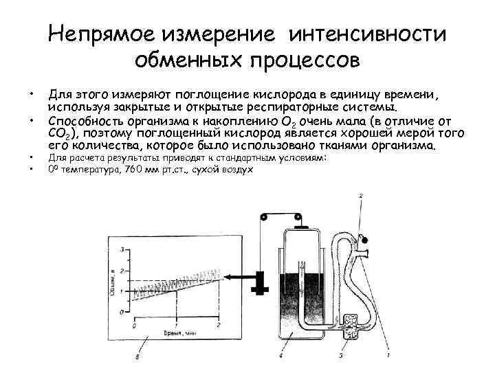 Непрямое измерение интенсивности обменных процессов • • Для этого измеряют поглощение кислорода в единицу