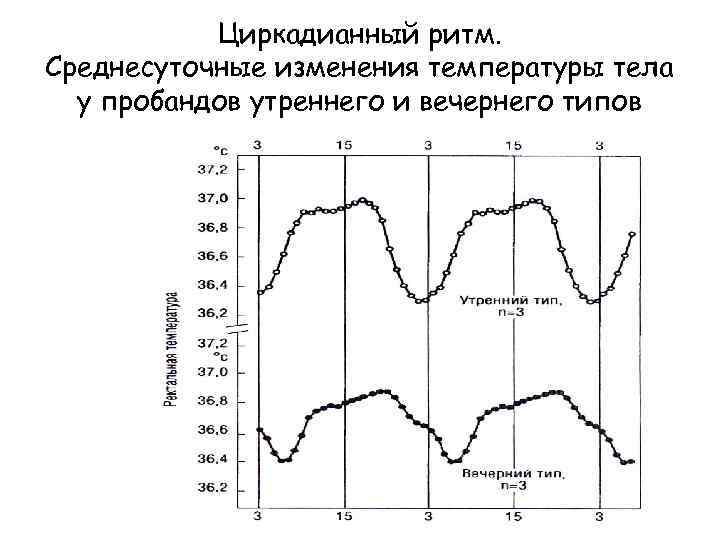 Циркадианный ритм. Среднесуточные изменения температуры тела у пробандов утреннего и вечернего типов 