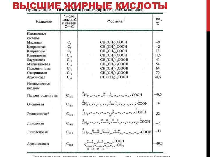 ВЫСШИЕ ЖИРНЫЕ КИСЛОТЫ 