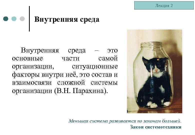 Лекция 2 Внутренняя среда – это основные части самой организации, ситуационные факторы внутри неё,