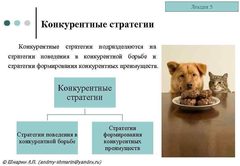 Лекция 5 Конкурентные стратегии подразделяются на стратегии поведения в конкурентной борьбе и стратегии формирования
