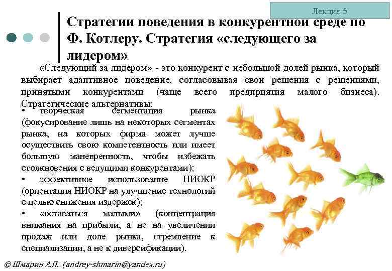 Лекция 5 Стратегии поведения в конкурентной среде по Ф. Котлеру. Стратегия «следующего за лидером»