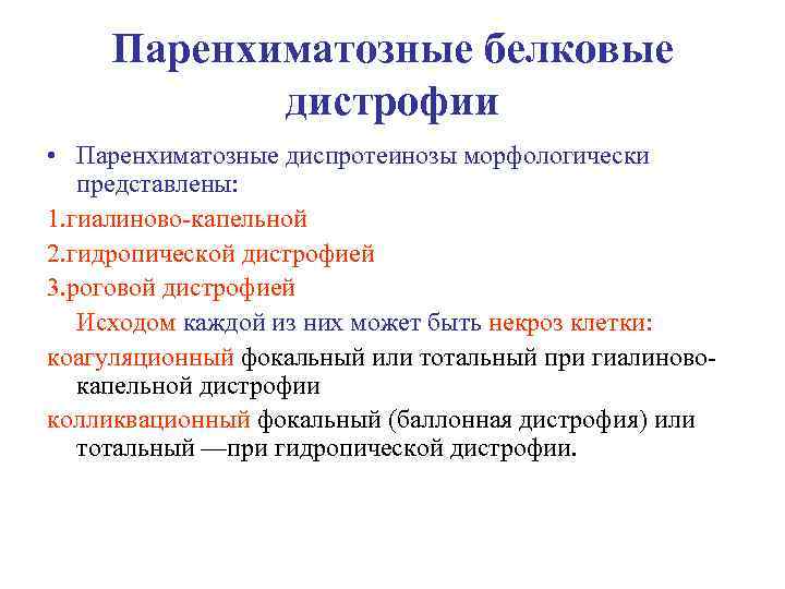 Паренхиматозные белковые дистрофии • Паренхиматозные диспротеинозы морфологически представлены: 1. гиалиново-капельной 2. гидропической дистрофией 3.