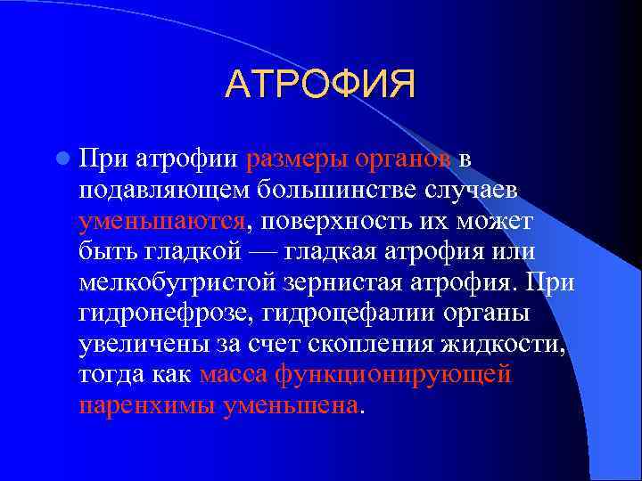 АТРОФИЯ l При атрофии размеры органов в подавляющем большинстве случаев уменьшаются, поверхность их может