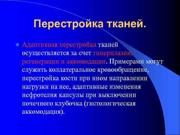 Перестройка тканей. l Адаптивная перестройка тканей осуществляется за счет гиперплазии, регенерации и аккомодации. Примерами