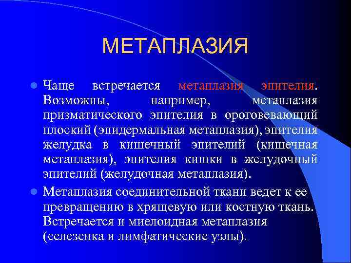 МЕТАПЛАЗИЯ Чаще встречается метаплазия эпителия. Возможны, например, метаплазия призматического эпителия в ороговевающий плоский (эпидермальная