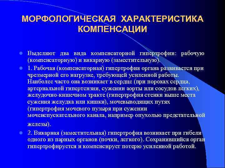 МОРФОЛОГИЧЕСКАЯ ХАРАКТЕРИСТИКА КОМПЕНСАЦИИ Выделяют два вида компенсаторной гипертрофии: рабочую (компенсаторную) и викарную (заместительную). l