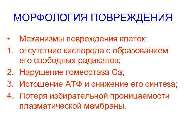 МОРФОЛОГИЯ ПОВРЕЖДЕНИЯ • Механизмы повреждения клеток: 1. отсутствие кислорода с образованием его свободных радикалов;