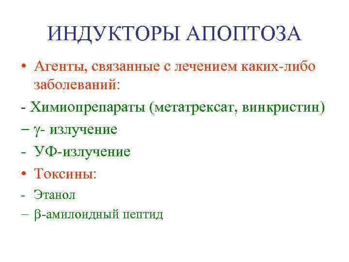 ИНДУКТОРЫ АПОПТОЗА • Агенты, связанные с лечением каких-либо заболеваний: - Химиопрепараты (метатрексат, винкристин) -