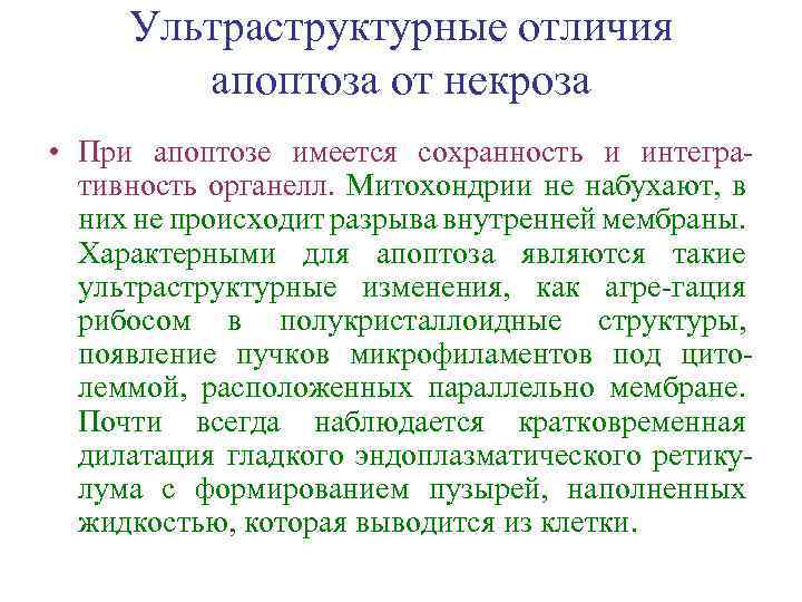 Ультраструктурные отличия апоптоза от некроза • При апоптозе имеется сохранность и интегративность органелл. Митохондрии