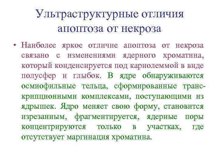 Ультраструктурные отличия апоптоза от некроза • Наиболее яркое отличие апоптоза от некроза связано с