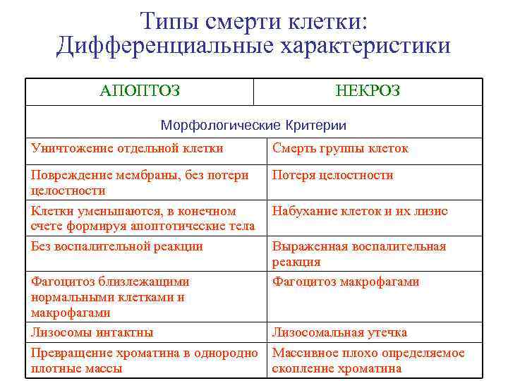 Типы смерти клетки: Дифференциальные характеристики АПОПТОЗ НЕКРОЗ Морфологические Критерии Уничтожение отдельной клетки Смерть группы