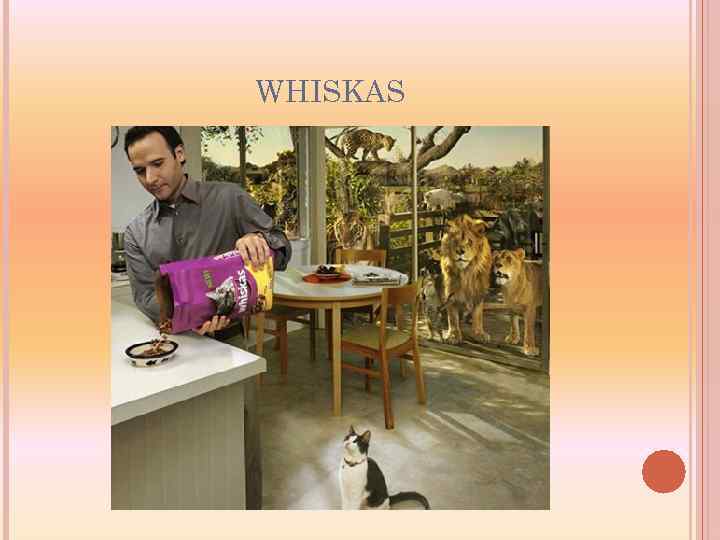 WHISKAS 