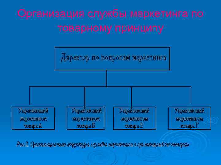 Организация службы маркетинга по товарному принципу 