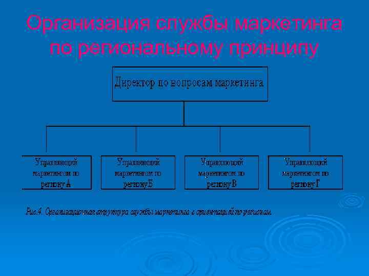 Организация службы маркетинга по региональному принципу 