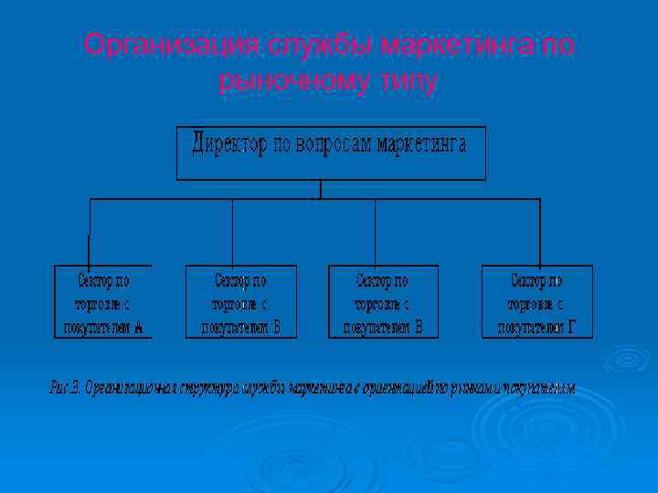 Организация службы маркетинга по рыночному типу 